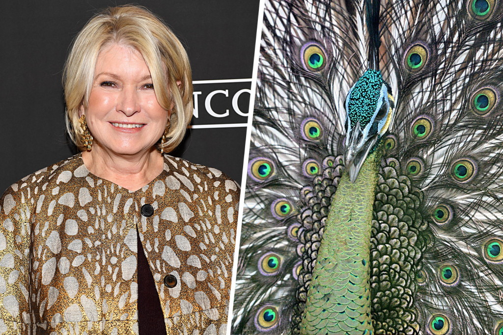 Martha Stewart's Peacocks | Weird celebrity animals | InstantHub